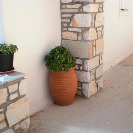 Panorama In Pisolivadi 피소리바디