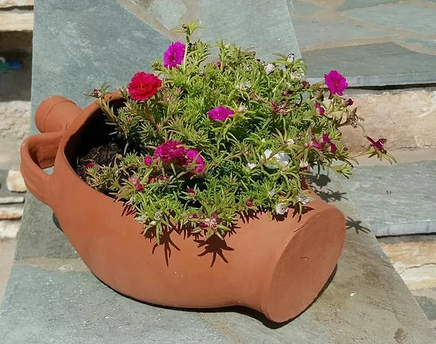 아파트 Panorama In Pisolivadi 피소리바디