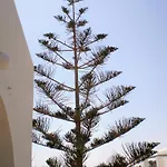 Panorama In Pisolivadi Πίσω Λιβάδι