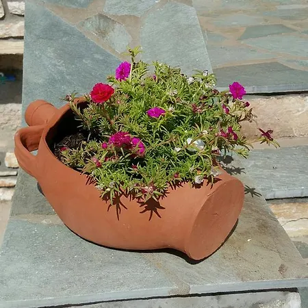 Apartment Panorama Studios In Pisolivadi Piso Livadi