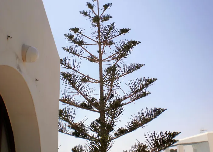 Panorama In Pisolivadi ピソ ・リバディ